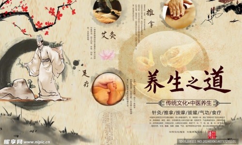 养生大甲鱼-大甲鱼的营养价值-专业甲鱼的营养价值和药用价值平台-大甲鱼的营养价值及功效