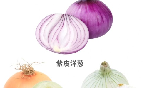 甲鱼的营养价值及功效-大甲鱼的营养价值-专业甲鱼的营养价值和药用价值平台-大甲鱼的营养价值及功效