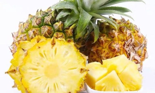 甲鱼的营养价值及功效-大甲鱼的营养价值-专业甲鱼的营养价值和药用价值平台-大甲鱼的营养价值及功效