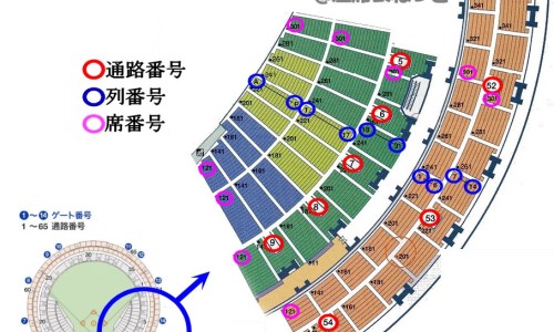 大甲鱼又叫什么-大甲鱼的营养价值-专业甲鱼的营养价值和药用价值平台-大甲鱼的营养价值及功效