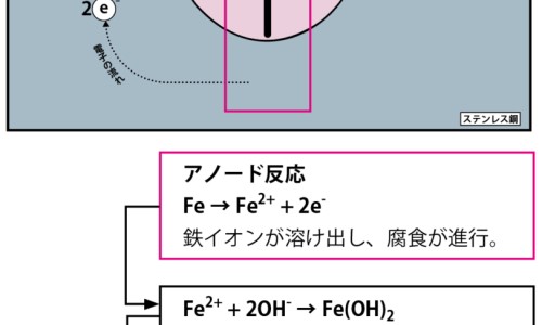 大甲鱼又叫什么-大甲鱼的营养价值-专业甲鱼的营养价值和药用价值平台-大甲鱼的营养价值及功效